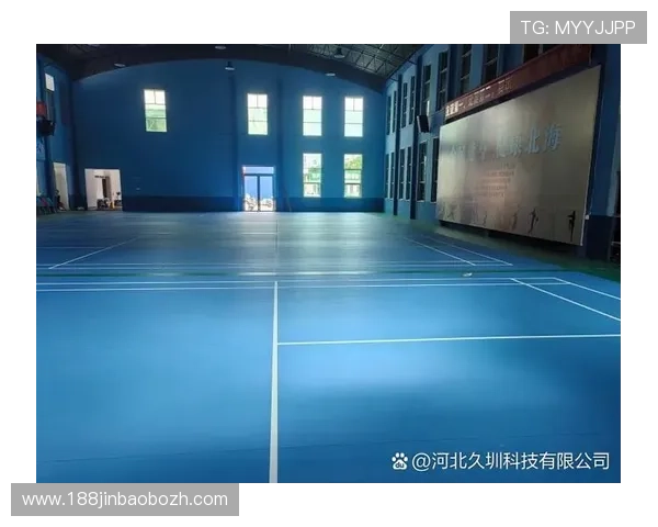 非凡体育的用户反馈与评价分析，了解平台的优势与改进空间